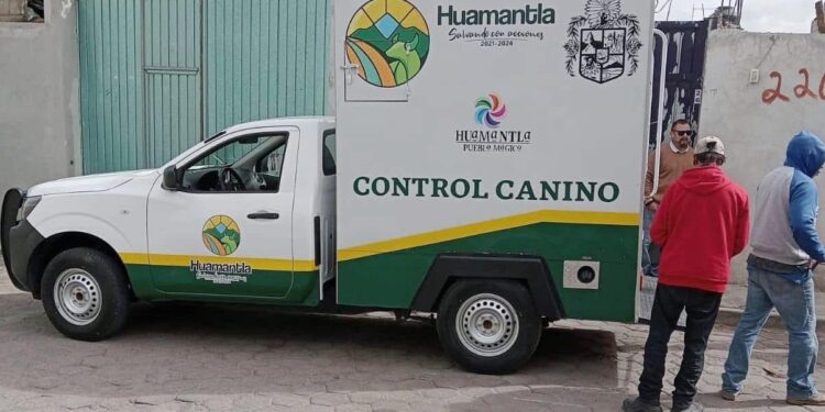 Rescata Unidad Canina y Felina a perrito que sufría maltrato en Huamantla.