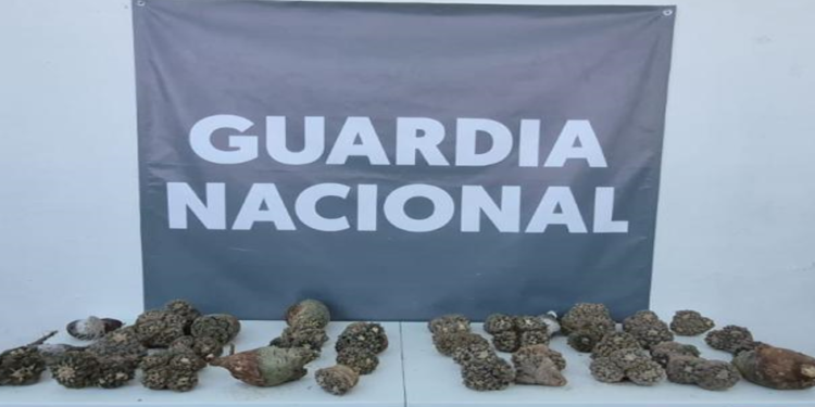 El Gabinete de Seguridad del Gobierno de México informa los resultados obtenidos de la “Operación Frontera Norte” los días 21,22 Y 23 de febrero de 2025.