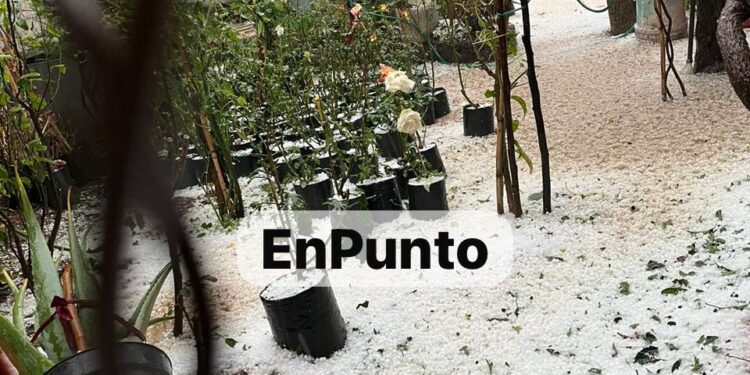 Intensa granizada sorprende a Terrenate.