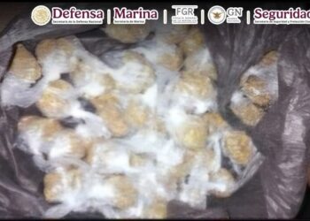 Detienen en Guanajuato a Christian N. Líder de una célula delictiva.