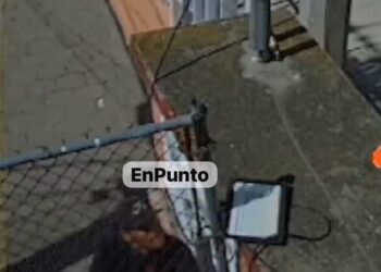 ¡Cuídado con la rata! Roban en guarderia de Huamantla.