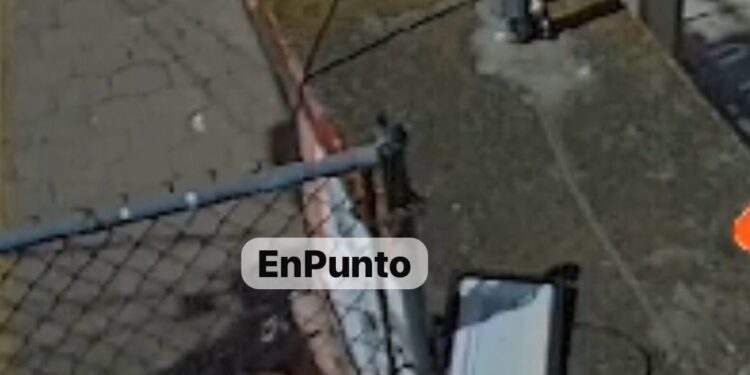 ¡Cuídado con la rata! Roban en guarderia de Huamantla.