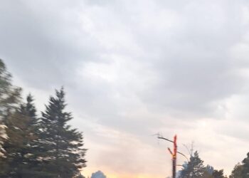 Quema de pastizales genera afectaciones a la flora.