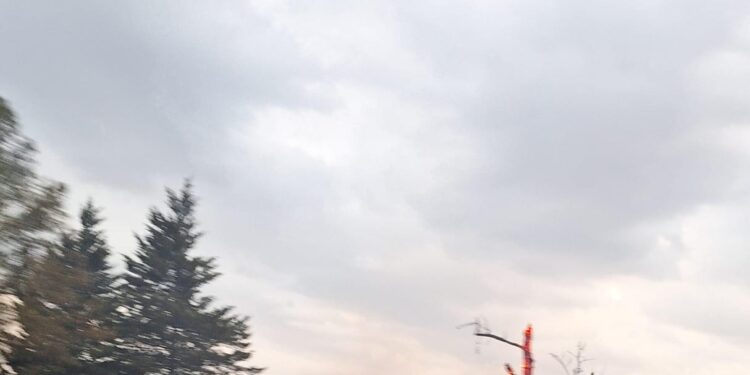 Quema de pastizales genera afectaciones a la flora.