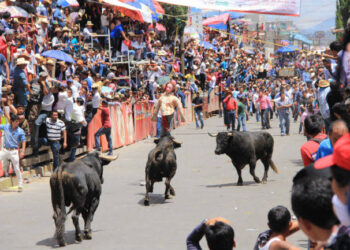 Se buscará disminuir consumo de alcohol en desfile de burladeros y huamantlada: SSC.