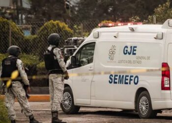 Ubican a hombre pendiendo de un árbol en Emiliano Zapata.