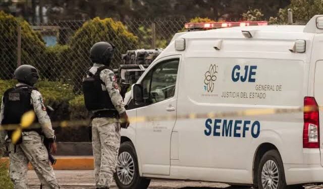 Ubican a hombre pendiendo de un árbol en Emiliano Zapata.