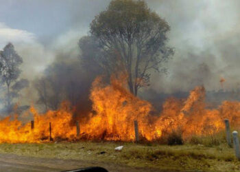 Exhortan autoridades evitar quema de pastizales.