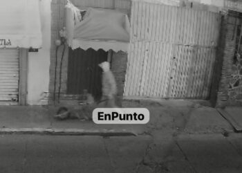 Denuncian comerciantes robo a establecimiento en Huamantla.