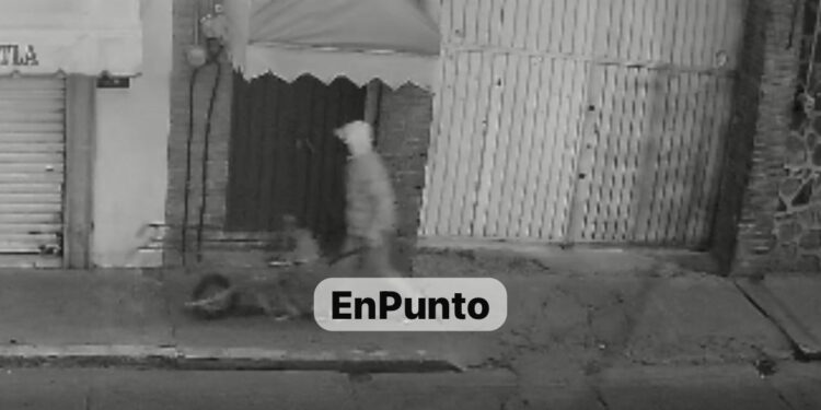 Denuncian comerciantes robo a establecimiento en Huamantla.