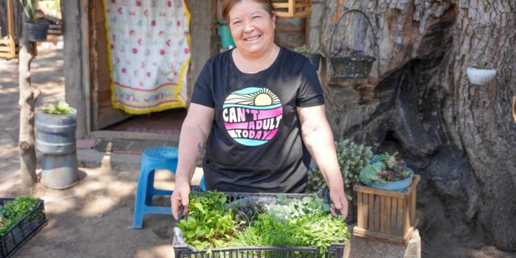 Entrega secretaría de bienestar plántulas a beneficiarios de módulos de autosuficiencia alimentaria