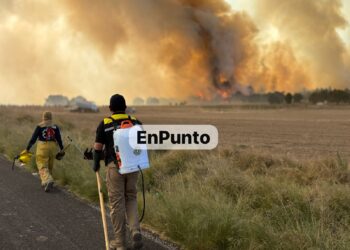 Decenas de voluntades se sumaron para combatir el incendio el cerro del Quimicho en Tocatlán.
