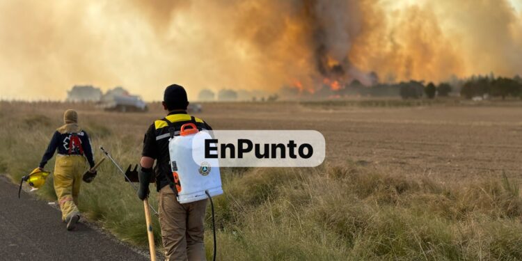 Decenas de voluntades se sumaron para combatir el incendio el cerro del Quimicho en Tocatlán.