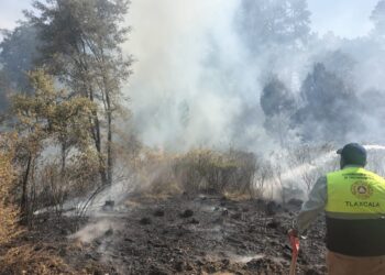CEPC emite recomendaciones para prevenir incendios forestales