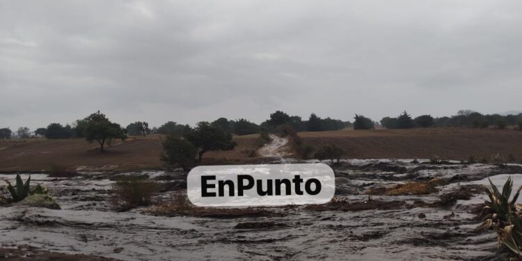 Evacuan a familias de al menos 10 viviendas tras desbordamiento de río en Atltzayanca.