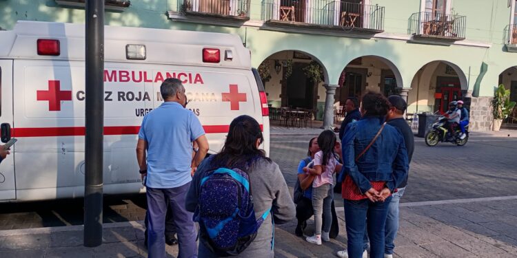 Posicionamiento del Ayuntamiento de Tlaxcala ante incidente con canes en el Zócalo capitalino