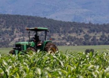 Buscarán campesinos ante el congreso mayor presupuesto para el campo tlaxcalteca.