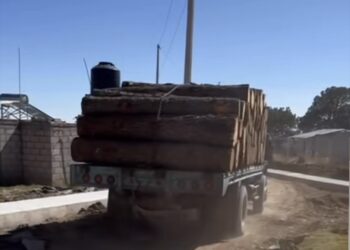 Denuncian pobladores de Atltzayanca tala indiscriminada de árboles.