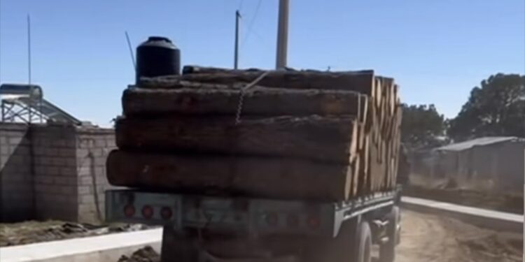 Denuncian pobladores de Atltzayanca tala indiscriminada de árboles.