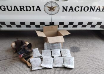 El Gabinete de Seguridad del Gobierno de México informa acciones relevantes del 16, 17, 18 de mayo de 2025