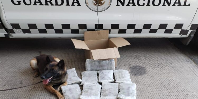 El Gabinete de Seguridad del Gobierno de México informa acciones relevantes del 16, 17, 18 de mayo de 2025