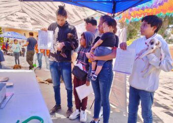 5 perritos disfrutarán de un nuevo hogar en la campaña “adogtame” en Huamantla.