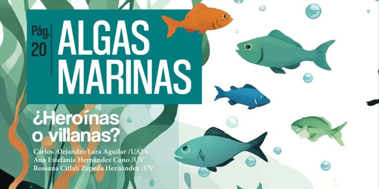 Publica CTBC-UATx nuevo ejemplar de 𝐄𝐂𝐎𝐒𝐲𝐒𝐓𝐄𝐀𝐌