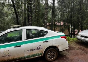 PROPAET refuerza vigilancia en centros de avistamiento de luciérnagas