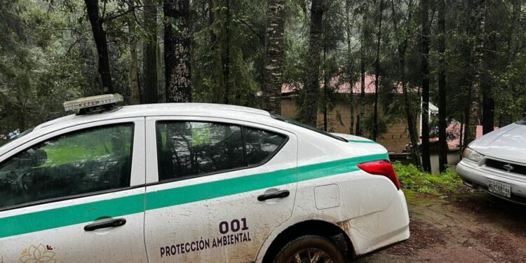 PROPAET refuerza vigilancia en centros de avistamiento de luciérnagas