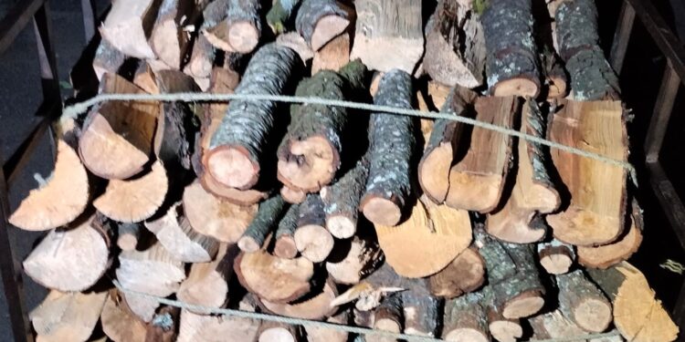 SSC refuerza el combate a delitos ambientales en la entidad