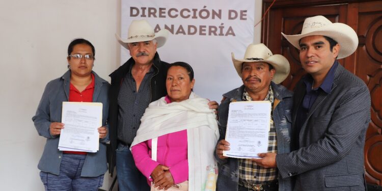 Entrega SIA cartas de autorización a productores pecuarios