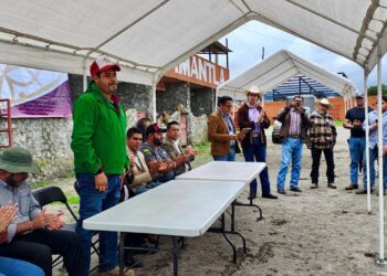 Realizan jornada médica para equinos en Huamantla