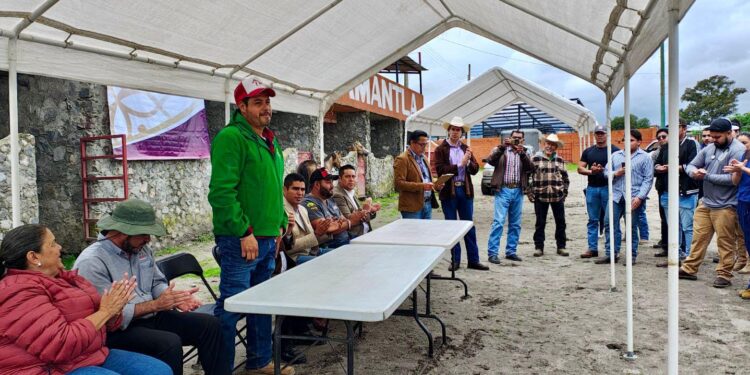 Realizan jornada médica para equinos en Huamantla