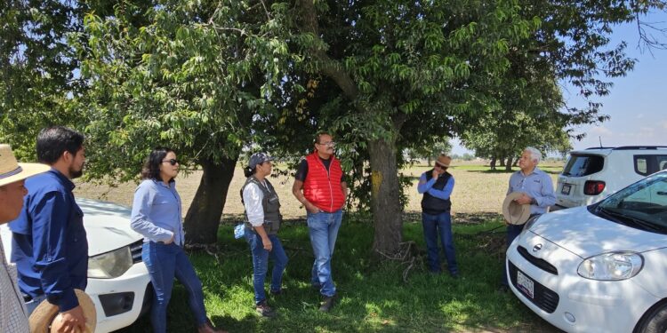 Impulsa CEAS reingeniería de la planta de tratamiento de Tlaxco