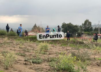 Ubican un cráneo humano en Terrenate.