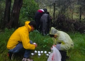 La UATx es sede del Simposio Internacional de Luciérnagas
