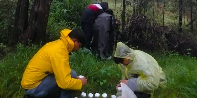 La UATx es sede del Simposio Internacional de Luciérnagas