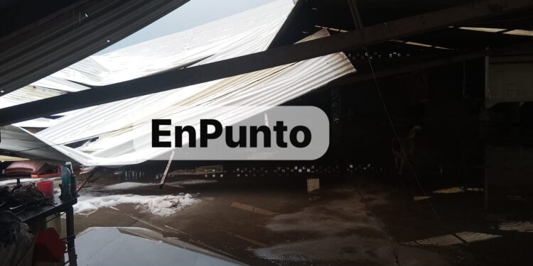 Caída de techos de bodegas y viviendas deja granizada en Terrenate.