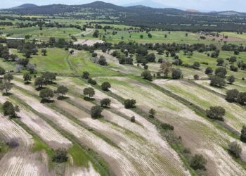 SIA activa apoyo emergente para productores con cultivos dañados por lluvias