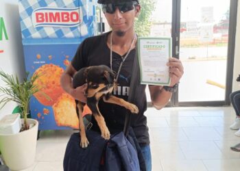 La Clínica Biofílica de Huamantla avanza en la protección y bienestar animal con más de 3 mil atenciones realizadas