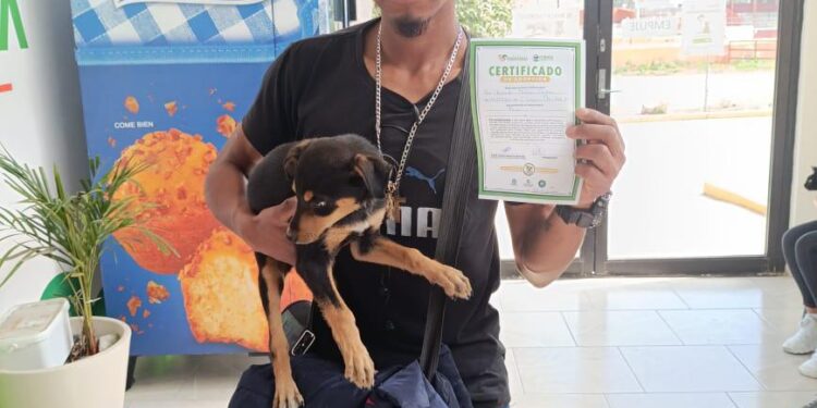 La Clínica Biofílica de Huamantla avanza en la protección y bienestar animal con más de 3 mil atenciones realizadas