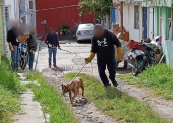 LLAMA AYUNTAMIENTO DE TLAXCALA A LA TENENCIA RESPONSABLE DE MASCOTAS