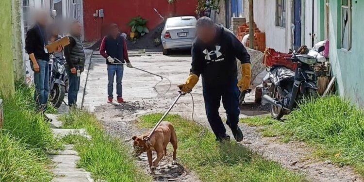 LLAMA AYUNTAMIENTO DE TLAXCALA A LA TENENCIA RESPONSABLE DE MASCOTAS