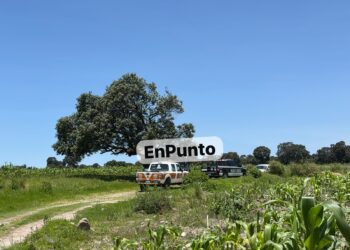 Campesino localiza a hombre 4h0rc4d0 de un árbol en Ixtenco. 