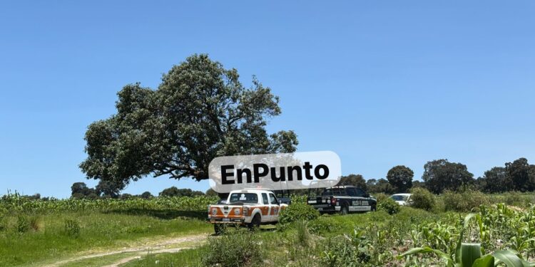 Campesino localiza a hombre 4h0rc4d0 de un árbol en Ixtenco. 