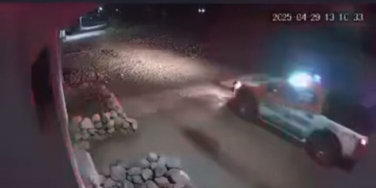 Policías de Ixtenco atropellan a perrito.