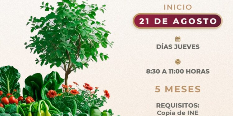 INVITA AYUNTAMIENTO DE TLAXCALA AL CURSO GRATUITO DE HUERTOS FAMILIARES PARA MUJERES DE LA CAPITAL