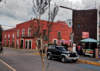 Huamantla impulsa la reforestación urbana con la colocación de árboles de olivo
