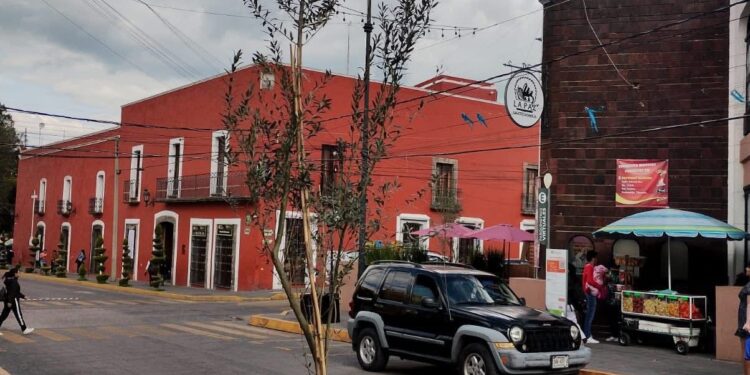 Huamantla impulsa la reforestación urbana con la colocación de árboles de olivo