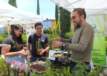 Inaugura CICB-UATx su “Segundo Festival de las Suculentas en Tlaxcala”